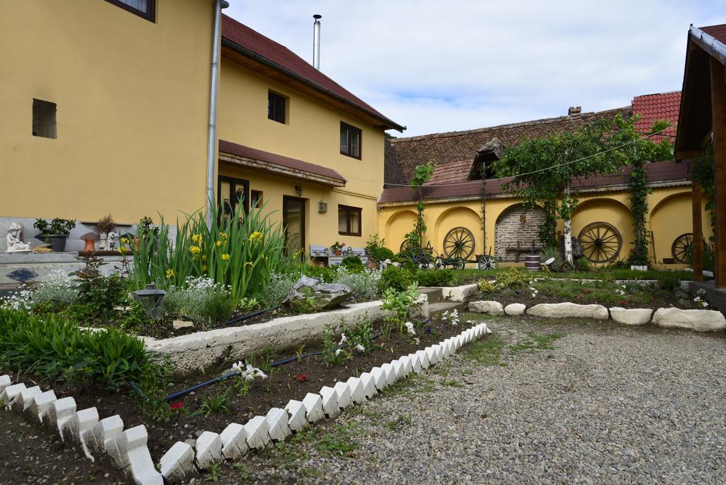 Pensiunea Domnescu Saliste  Exterior photo